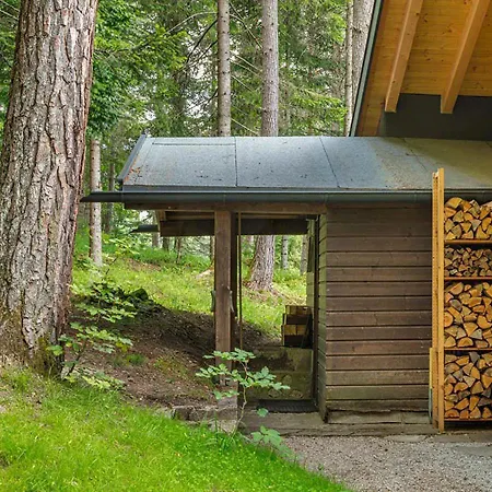 Haus Im Wald * 蒂罗尔-泽费尔德