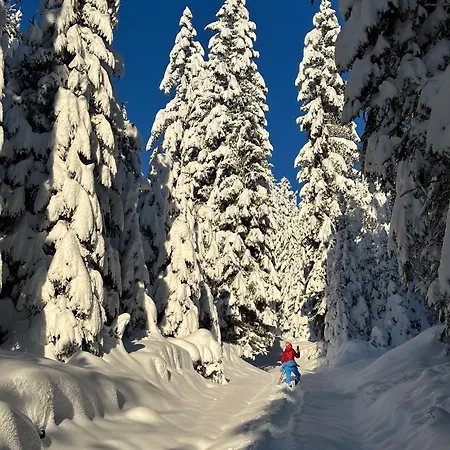 Haus Im Wald Seefeld in Tirol