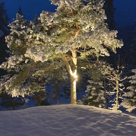 Haus Im Wald 蒂罗尔-泽费尔德