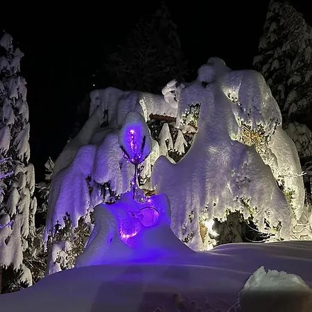 Ferienhaus Haus Im Wald Seefeld in Tirol